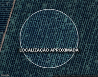 Sítio com 23,72ha e plantação de cana de açúcar