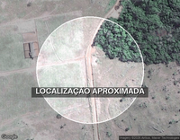 Sítio com 26,26 ha de pastagem e benfeitorias - Alta Floresta D'Oeste/RO