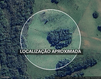 Terreno de 206 hectares no Subdistrito de Palmas - Bagé/RS