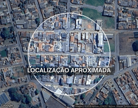 10 hectares de eucaliptos para lenha em Piumhi/MG