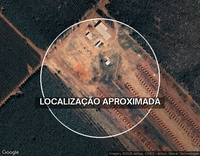 Fazenda com 100,50 hectares de eucalipto em Francisco Dumont/MG