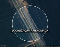 Fazenda Elo Verde 2.200 hectares em MT com 50% de desconto
