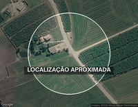 Dois terrenos urbanos em Guaramirim/SC - Área 1 e Área 2