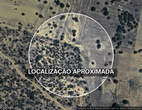 Fazenda Boa Vista com 87,12 hectares e benfeitorias