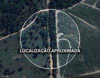 Sítio Canaã: 5 alqueires com 4 casas, barracão e piscina em Rio Claro/SP