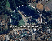 3 Vacas Leiteiras Holandesas - Investimento em Pecuária Leiteira
