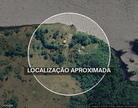 Imóvel Rural com 71,48ha em Parintins/AM - Oportunidade única!
