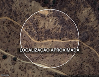 Sítio rural com 29,60 ha em Lavras da Mangabeira/CE - 2 casas, açudes e benfeitorias