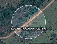 Fazenda com 13,6 hectares em Teixeirópolis/RO - Oportunidade única!