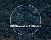 Fazenda Montana - Gleba D com 178,46 hectares em Colinas do Sul/GO