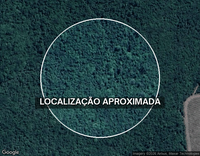 Fazenda com 300 hectares em Encruzilhada/BA - Oportunidade única para investimento rural