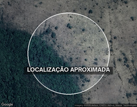 Lote com 23 Vacas HPB - Fazenda Rosário/Piracema