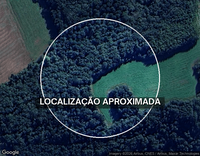 Área Rural com 5 Hectares e Galpão 160m² - Frei Rogério/SC