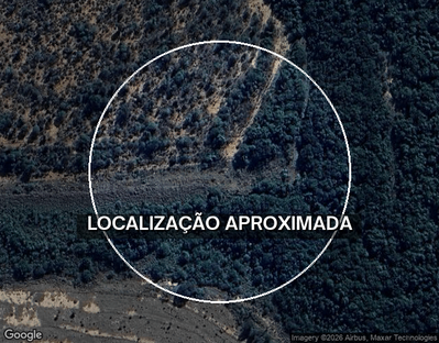 Fazenda São Pedro com 69 hectares em Japorã/MS