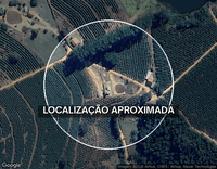 Sítio Içara com 27,19 ha, café em produção e área de pasto