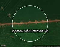 Área Rural de 2,5 Alqueires com Potencial Agrícola